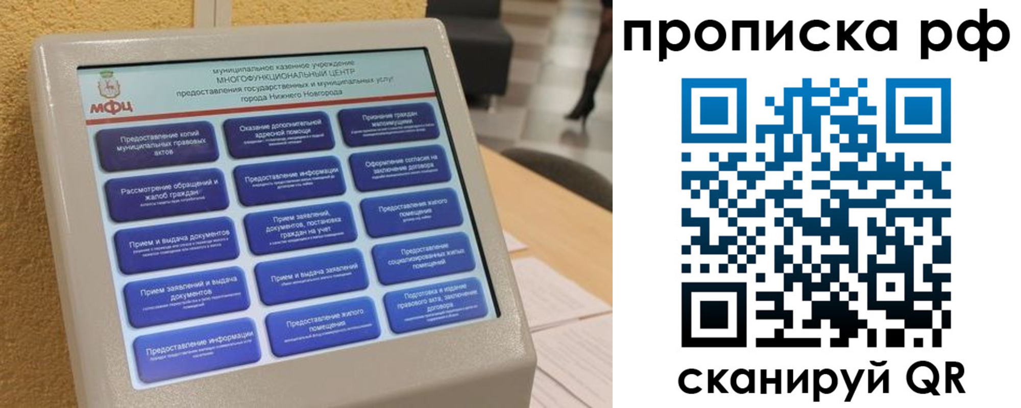прописка регистрация в Ярославской области